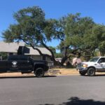 tree removal San Antonio