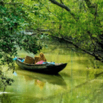 Sundarban tour