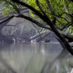 sundarban travels
