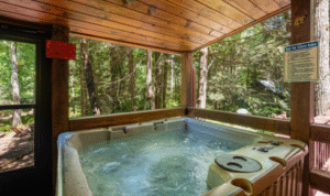 Guntersville cabin rentals