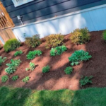 Experienced hardscapers near me