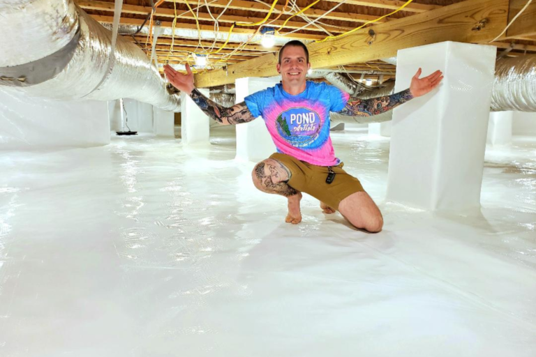 crawl space environment