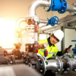 system inspection service